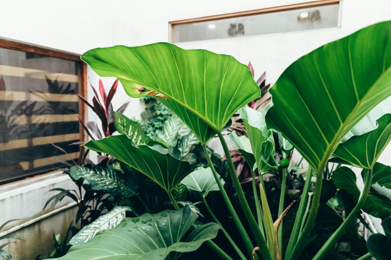 Moss Bnb Colombo Extérieur photo